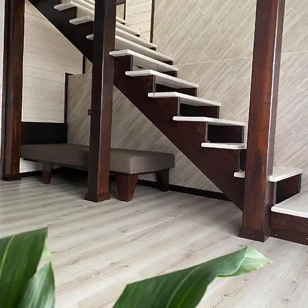 Chorna Skelya & Wellness