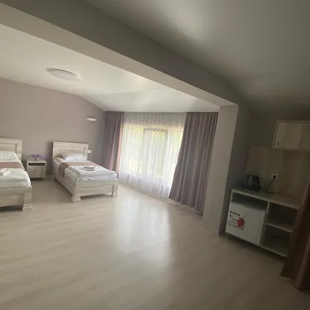 Chorna Skelya & Wellness Hotel Vynohradiv