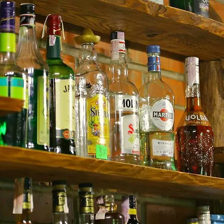 Chorna Skelya & Wellness 2* Vynohradiv