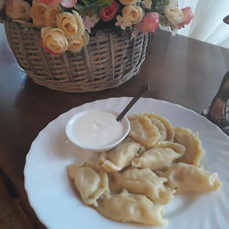 Chorna Skelya & Wellness Vynohradiv