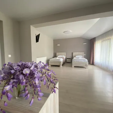 Chorna Skelya & Wellness 2* Виноградов