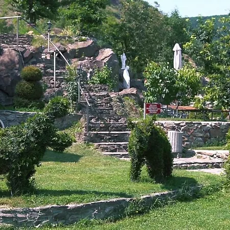 Chorna Skelya & Wellness Виноградов