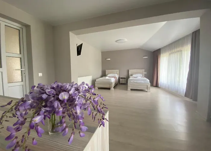 Chorna Skelya & Wellness 2* Vynohradiv