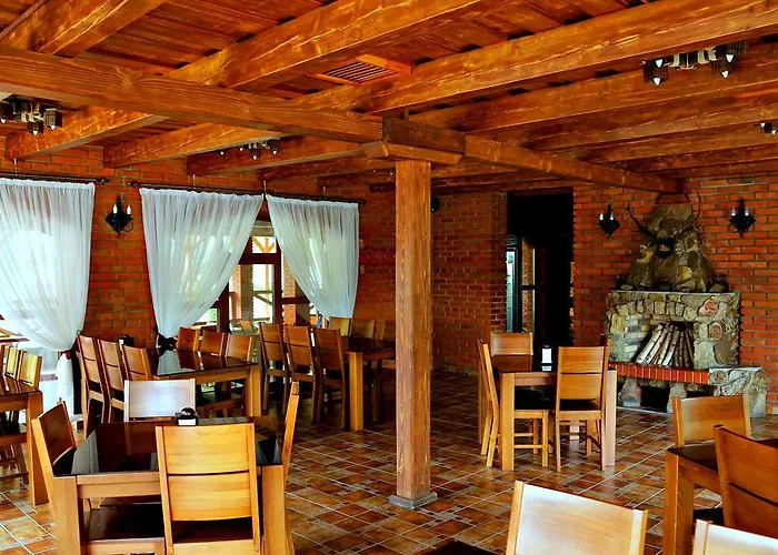 酒店 Chorna Skelya & Wellness 2*